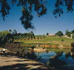 Mount Hurtle Winery home of Geoff Merrill Wines