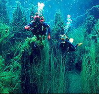 Ewens Ponds Conservation Park - Accommodation in Bendigo