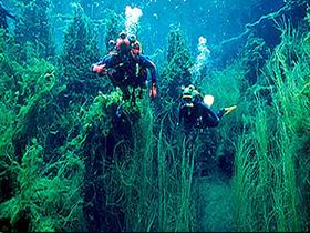 Ewens Ponds Conservation Park - Accommodation in Bendigo 0