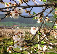 Cradle of Hills McLaren Vale Winery - Accommodation in Bendigo