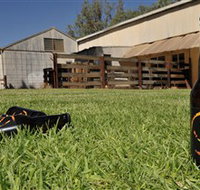 Wilkadene Woolshed Brewery - Accommodation in Bendigo