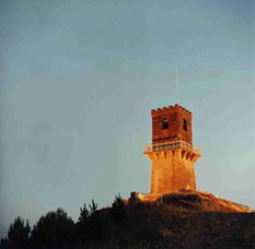 Centenary Tower - Accommodation in Bendigo 0