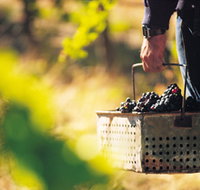 Burge Family Winemakers - Accommodation in Bendigo