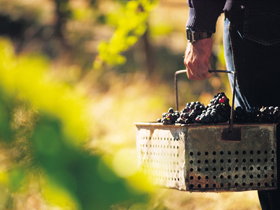 Burge Family Winemakers - Accommodation in Bendigo 0