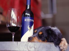 Koonara Wines - Accommodation in Bendigo 0