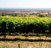 Braydun Hill Vineyard - Accommodation in Bendigo