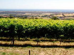 Braydun Hill Vineyard - Accommodation in Bendigo 0