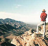 Devil's Peak Walking Trail - Accommodation in Bendigo