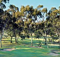 Tanunda Pines Golf Club - Accommodation in Bendigo