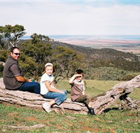 Bridle Track - Accommodation in Bendigo