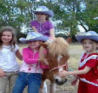 Amberainbow Pony Rides - Accommodation in Bendigo