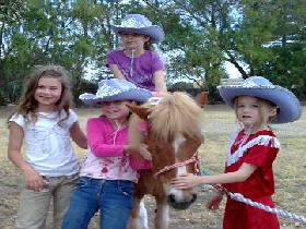 Amberainbow Pony Rides - Accommodation in Bendigo 0