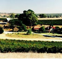 Irvine Wines - Accommodation in Bendigo