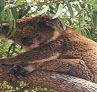 Mikkira Station - Accommodation in Bendigo