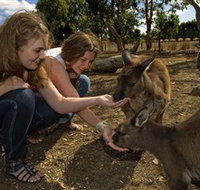 Kangaroo Island Wildlife Park - Accommodation in Bendigo