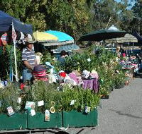 Meadows Monthly Market - Accommodation in Bendigo