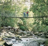 Arve Forest Drive - Accommodation in Bendigo