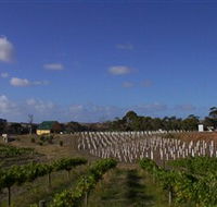 Deep Creek Wines and Alpacas - Accommodation in Bendigo