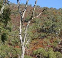 Black Hill Conservation Park - Accommodation in Bendigo