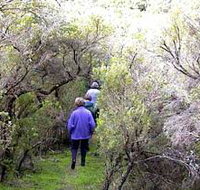 Jack And Hilda McArthur Walk - Accommodation in Bendigo