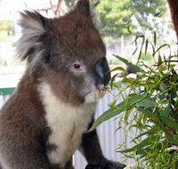 Glen-Forest Tourist Park - Accommodation in Bendigo