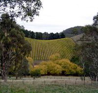 Mt Bera Vineyards - Accommodation in Bendigo