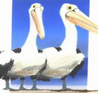 Bay of Shoals Wines - Accommodation in Bendigo