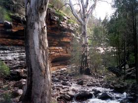 Mount Remarkable National Park - Accommodation in Bendigo 0