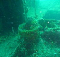 Wallaroo Scuba Club - Accommodation in Bendigo