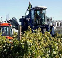 Ballast Stone Estate Wines Pty Ltd - Accommodation in Bendigo