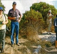 Coobowie Bird Hide - Accommodation in Bendigo