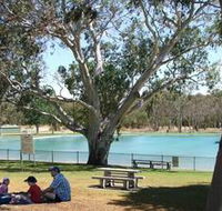 Naracoorte Nature Park and Swimming Lake - Accommodation in Bendigo