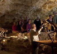 Naracoorte Caves National Park - Accommodation in Bendigo