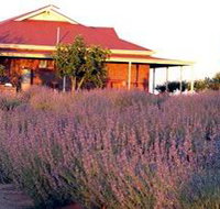 Bella Lavender Estate - Accommodation in Bendigo