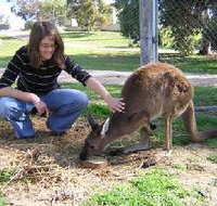 Pendleton Farmstay - Accommodation in Bendigo