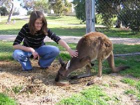Pendleton Farmstay - Accommodation in Bendigo 0