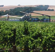 Kirrihill Wines - Accommodation in Bendigo