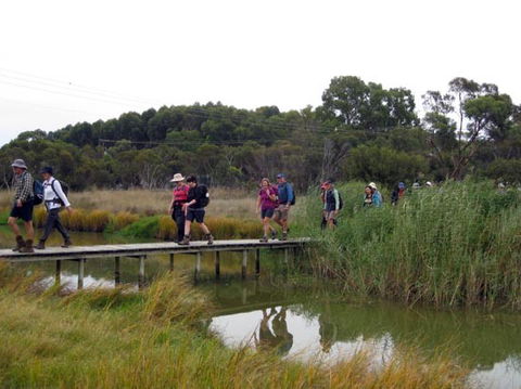 Lavender Federation Trail - Accommodation in Bendigo 1