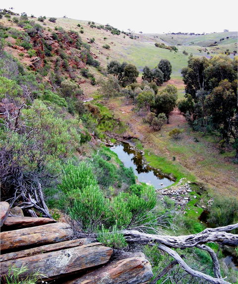 Lavender Federation Trail - Accommodation in Bendigo 3