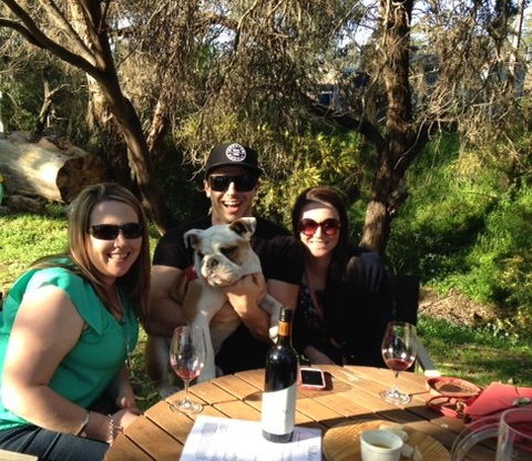DogRidge - Accommodation in Bendigo 3