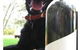 DogRidge - thumb 6