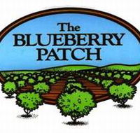 The Blueberry Patch - Accommodation in Bendigo