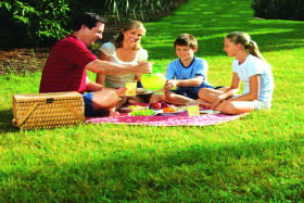  Accommodation in Bendigo