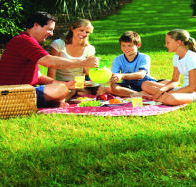 Bruny Island Berry Farm - Accommodation in Bendigo