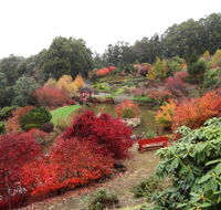 Emu Valley Rhododendron Garden - Accommodation in Bendigo