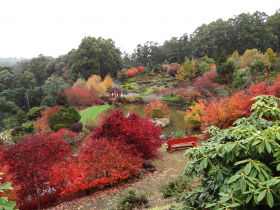Emu Valley Rhododendron Garden - Accommodation in Bendigo 0