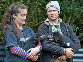 Cradle Mountain TAS Accommodation in Bendigo