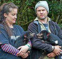 devilscradle - Accommodation in Bendigo