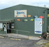 Stanley Seaquarium - Accommodation in Bendigo