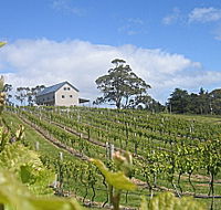 Bruny Island Premium Wines Bar and Grill - Accommodation in Bendigo